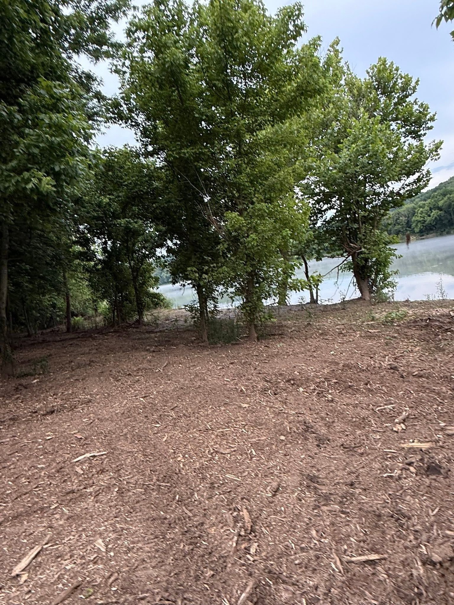 Cleared waterfront lot opening onto a lake