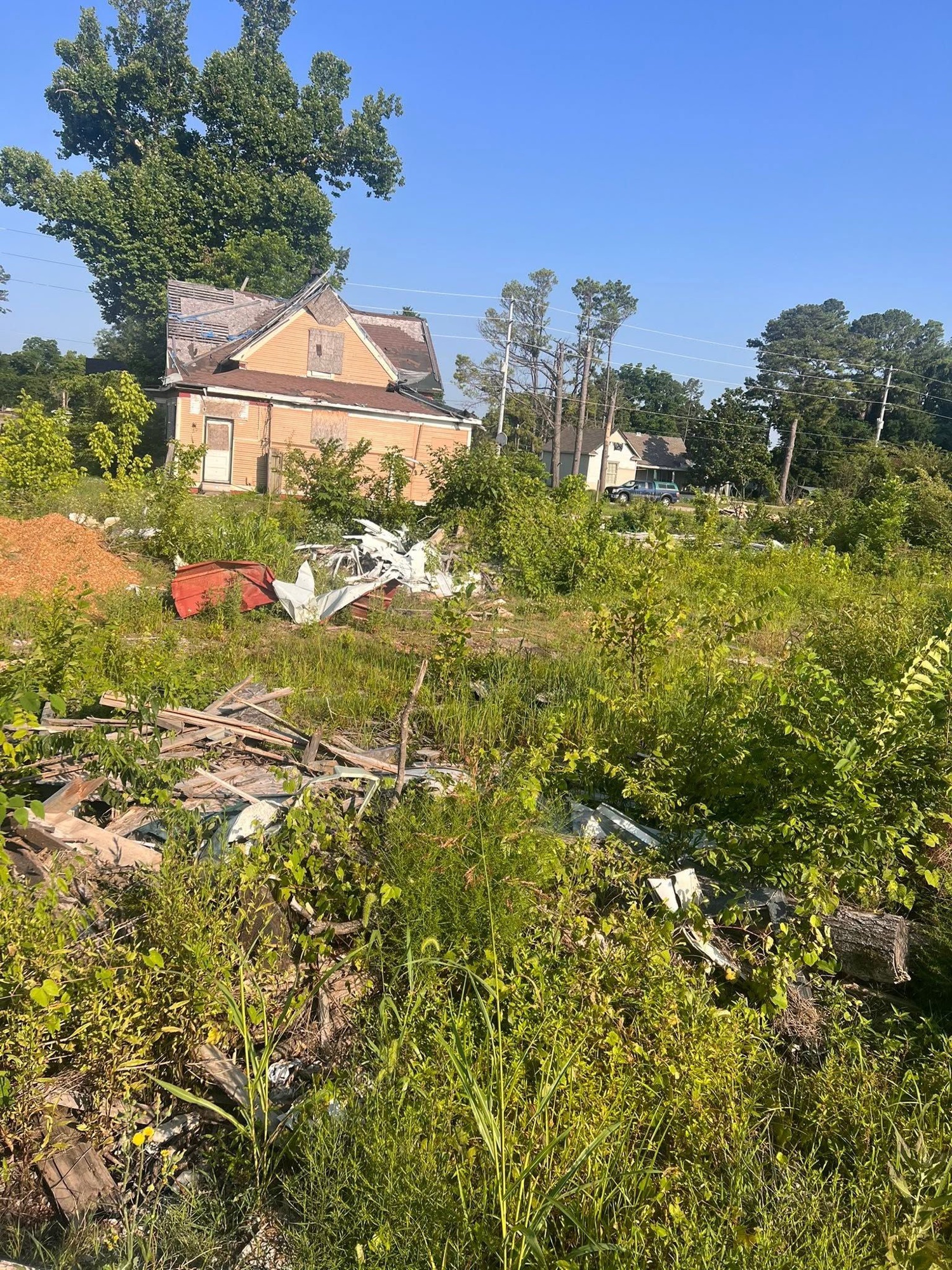 Storm-damaged, overgrown lot before cleanup