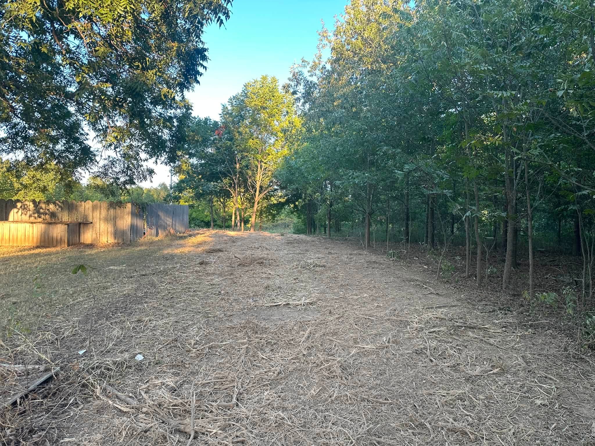 Same backyard cleared along the fence line after lot clearing