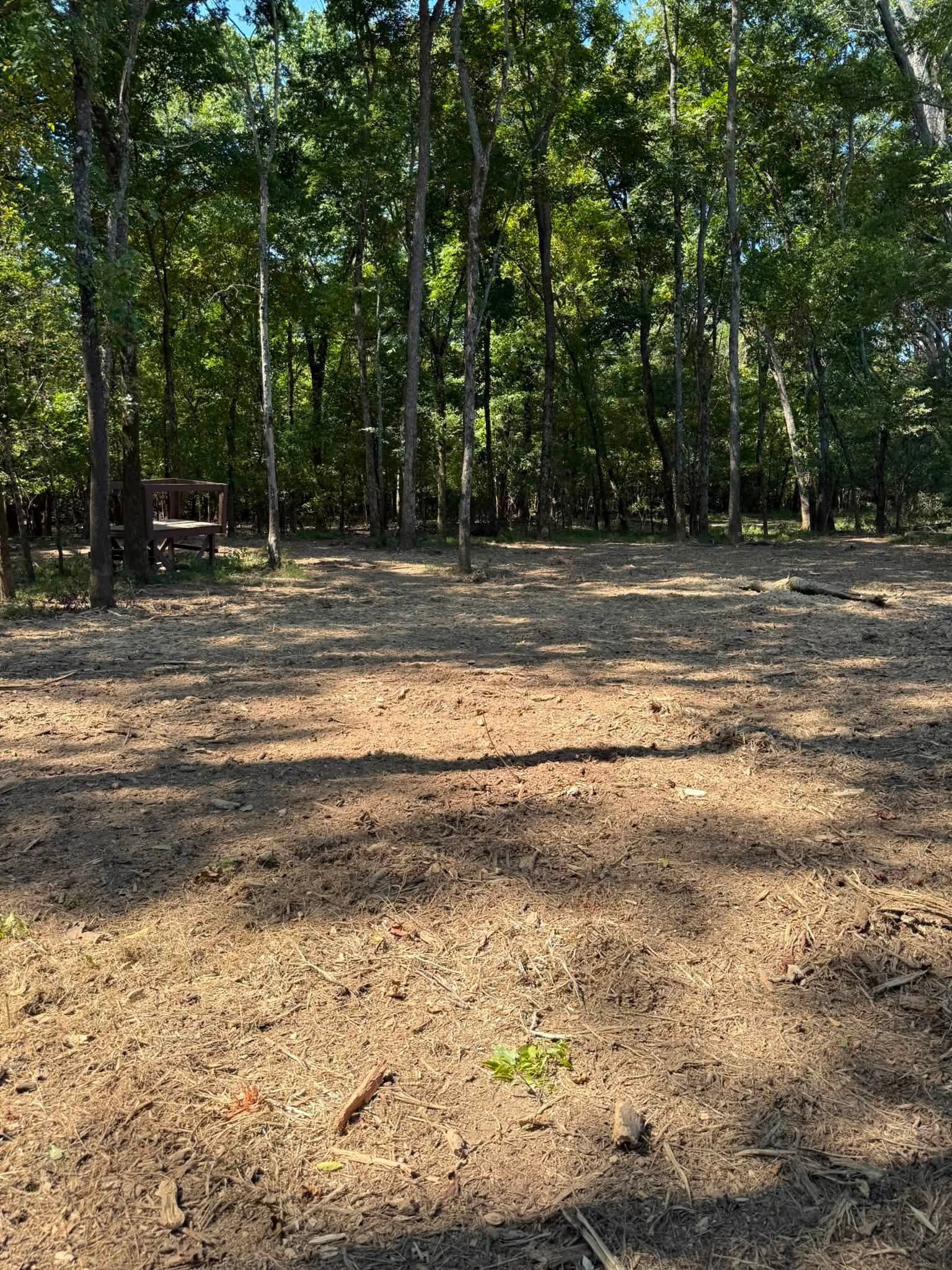 Same duck hunting hole cleared around the blind