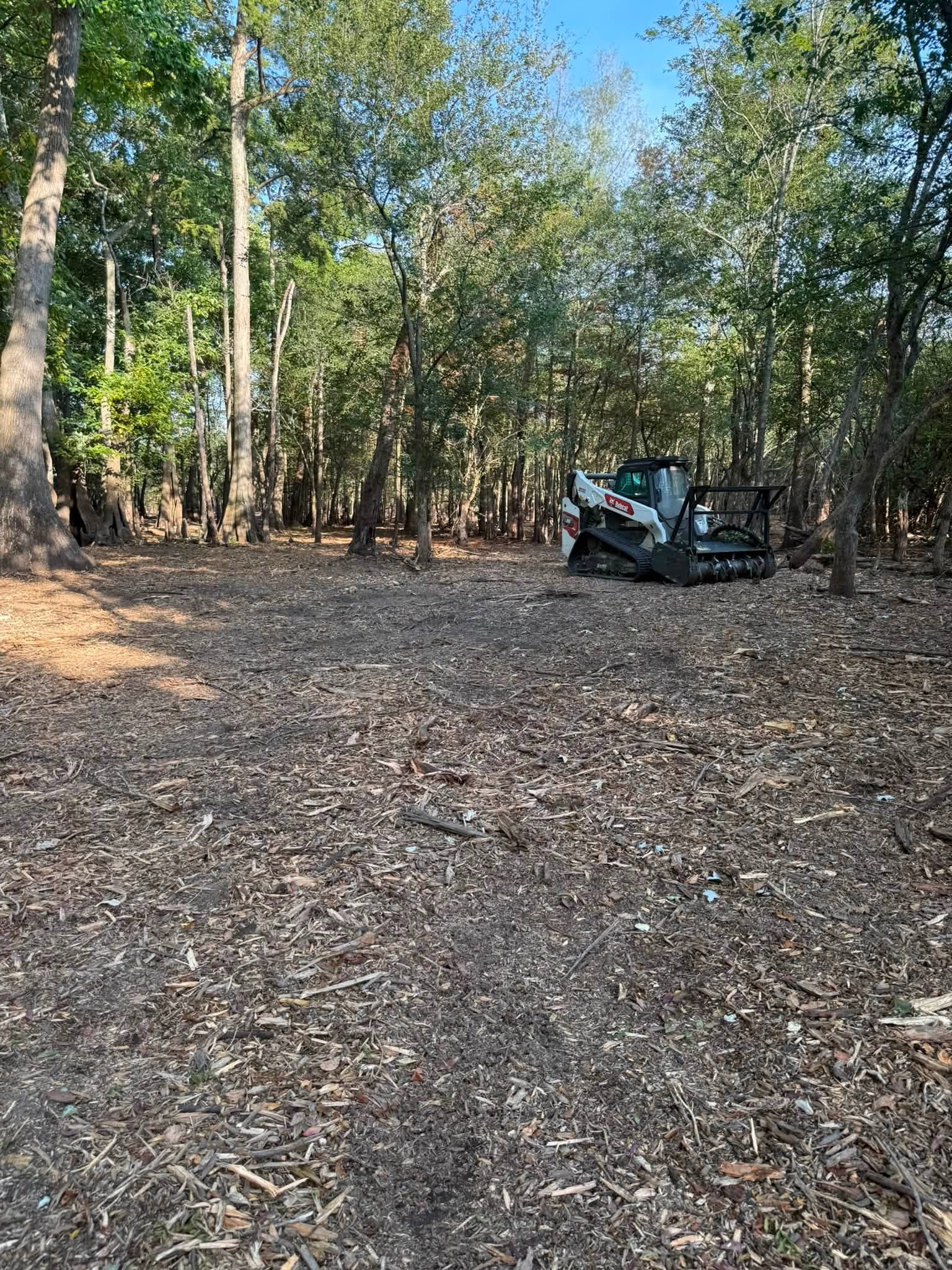Same wooded lot mulched clear, Bobcat mulcher on site